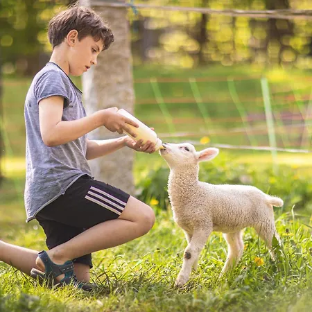 Apartamento Körnermühle *