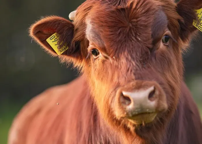 Apartman Körnermühle Dippoldiswalde