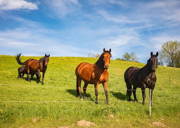 Apartman Körnermühle