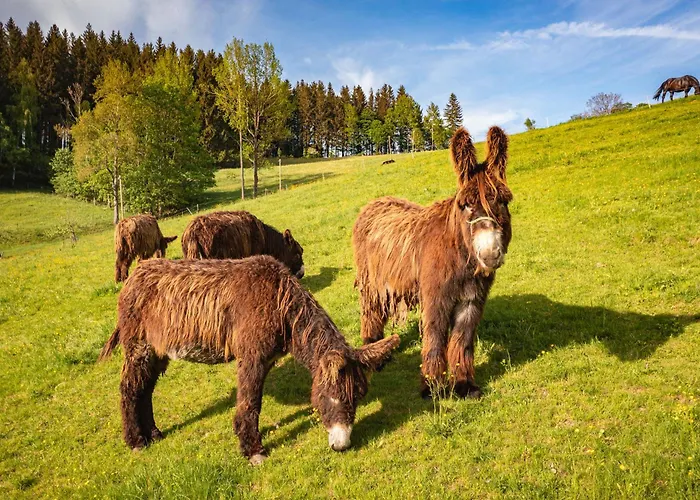 Apartamento Körnermühle Dippoldiswalde